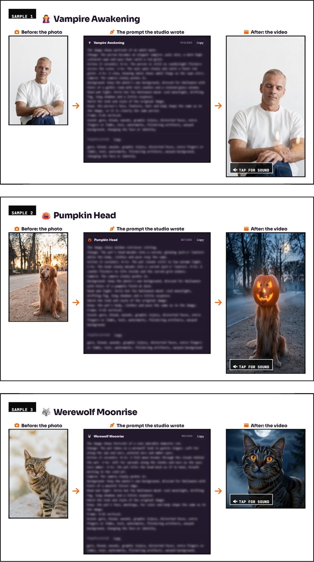 Image-to-Halloween-Video-plr-sample